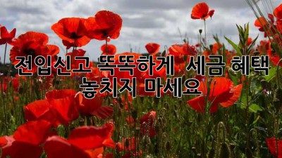 전입신고 똑똑하게! 🏡 세금 혜택 놓치지 마세요! 💰
